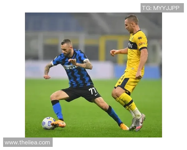 伊朗现役足球球星解析：技术特点与国际赛场表现全面剖析