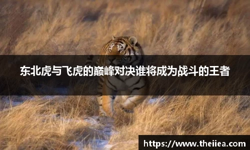 乐鱼体育