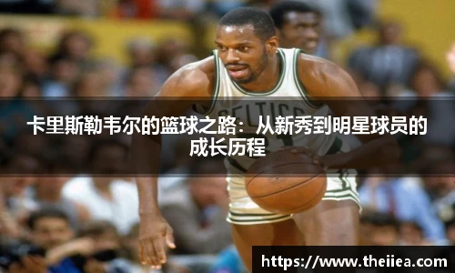 乐鱼体育