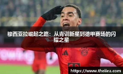 乐鱼体育